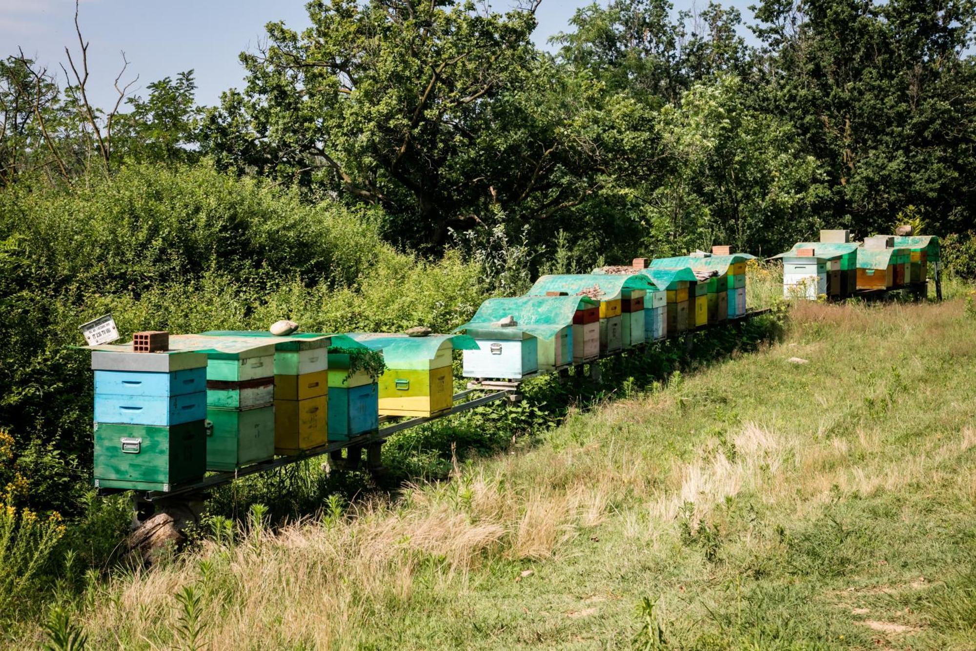 Agriturismo Parco Campofelice Lombardore 외부 사진
